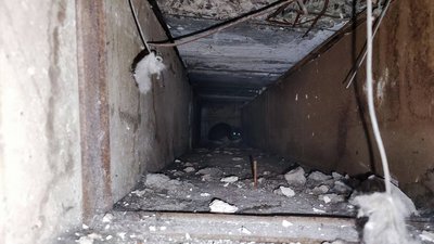 У Кам'янському надзвичайники врятували кота, який провалився у вентиляцію У Кам'янському надзвичайники врятували кота, який провалився у вентиляцію