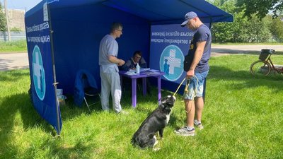 У Полтаві відновили роботу мобільні пункти щеплення від сказу