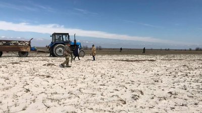 Понад тисячу мішків сміття. На острові Джарилгач на Херсонщині провели екологічну акцію