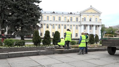 У Житомирі планують висадити 90 тисяч однорічних рослин У Житомирі планують висадити 90 тисяч однорічних рослин