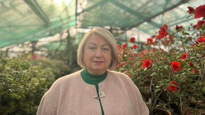 "Від сніжно-білих до ніжно-рожевих і червоних кольорів": у Криворізькому ботанічному саду квітнуть азалії "Від сніжно-білих до ніжно-рожевих і червоних кольорів": у Криворізькому ботанічному саду квітнуть азалії