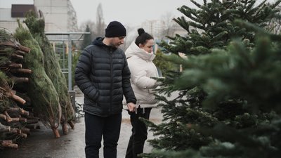 Люди в Харкові купують ялинки