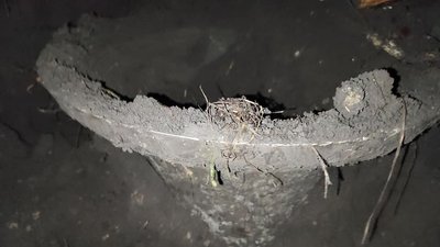 На Тернопільщині знайшли закопаний дзвін На Тернопільщині знайшли закопаний дзвін