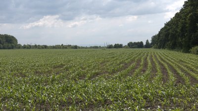 Як працюватимуть будкомпанія та агрофірма, які створюють у Франківську на базі комунального заводу Як працюватимуть будкомпанія та агрофірма, які створюють у Франківську на базі комунального заводу
