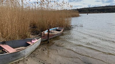 На Миколаївщині відбувається зариблення Південного Бугу На Миколаївщині відбувається зариблення Південного Бугу