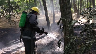 На Херсонщині через недбале поводження із вогнем ледве не загорівся ліс На Херсонщині через недбале поводження із вогнем ледве не загорівся ліс