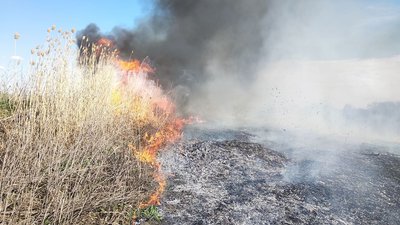 Минулої доби рятувальники Черкащини гасили 6 пожеж сухої рослинності Минулої доби рятувальники Черкащини гасили 6 пожеж сухої рослинності