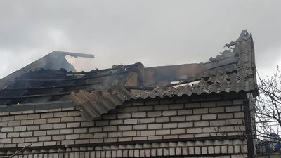 На Миколаївщині боєприпас потрапив у притулок для тварин