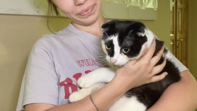 30 студентів, криса і кіт: як живуть студенти з окупованих міст у гуртожитку Каразінського у Харкові 30 студентів, криса і кіт: як живуть студенти з окупованих міст у гуртожитку Каразінського у Харкові