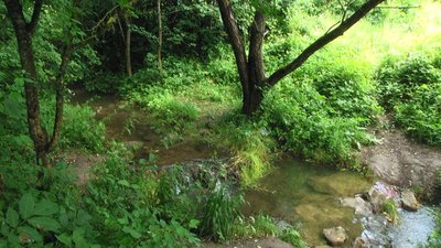Вода в річці Бобрівка замерзала лише двічі за сто років. Фото: Суспільне Поділля. Вода в річці Бобрівка замерзала лише двічі за сто років. Фото: Суспільне Поділля.