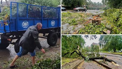 У Світловодській громаді на Кіровоградщині вітер повалив дерева та обірвав дроти У Світловодській громаді на Кіровоградщині вітер повалив дерева та обірвав дроти