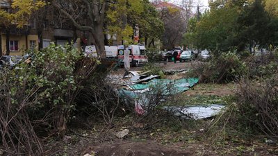 Забудова на Академічній в Одесі: екоінспекція оштрафувала причетних до знищення дерев
