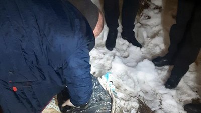 На Донеччині розслідують вбивство трирічної дитини, поліція підозрює вітчима
