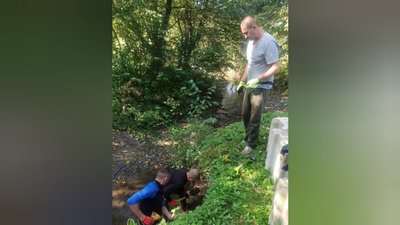 У Печеніжині на Франківщині знайшли рештки бійців Другої світової війни