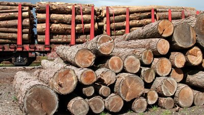 Дрова в Одеській області