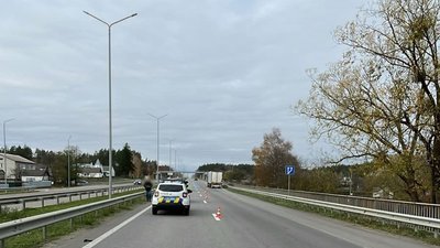 Смертельне ДТП: в аварії поблизу Житомира народний депутат збив пішохода