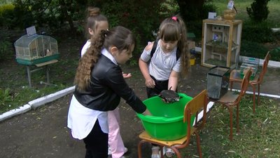 На Волині більше сотні дітей взяли участь у відеоконкурсі про домашніх улюбленців На Волині більше сотні дітей взяли участь у відеоконкурсі про домашніх улюбленців