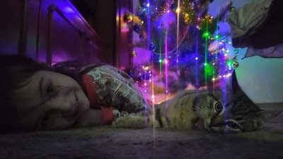 топ врятованих тварин
