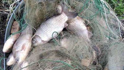 На Херсонщині за дві доби рибоохоронний патруль виявив 10 правопорушень На Херсонщині за дві доби рибоохоронний патруль виявив 10 правопорушень
