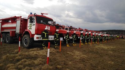На Житомирщині близько 100 працівників лісової охорони та рятувальників ліквідовували лісову пожежу