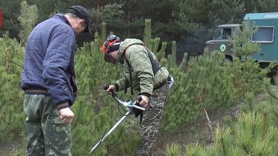 Лісівники спилюють ялинку Лісівники спилюють ялинку
