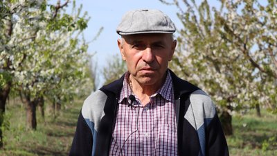 "Вимушений скорочувати частину саду": які проблеми вирощування плодових дерев у малих підприємств на Дніпропетровщині "Вимушений скорочувати частину саду": які проблеми вирощування плодових дерев у малих підприємств на Дніпропетровщині