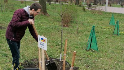 У парку Перемоги в Кропивницькому висадили дерева на честь міст, звільнених з російської окупації та блокади рік тому У парку Перемоги в Кропивницькому висадили дерева на честь міст, звільнених з російської окупації та блокади рік тому