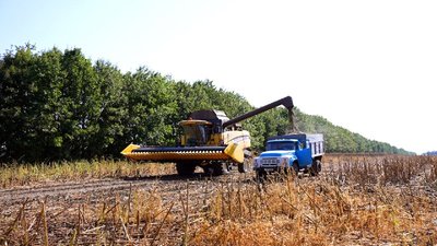 На Вінниччині триває збір соняшника: яка врожайність та ціна за культуру На Вінниччині триває збір соняшника: яка врожайність та ціна за культуру