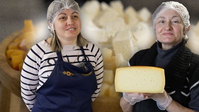 Крафтова сироварня двох сестер у Лукашівці на Чернігівщині