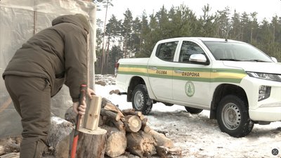 У лісництвах розпочалися ялинкові ярмарки У лісництвах розпочалися ялинкові ярмарки