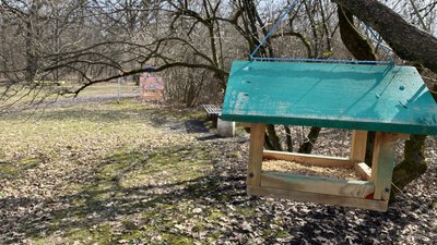 Що зроблять у Полтавському міському парку Що зроблять у Полтавському міському парку