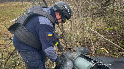Піротехніки на Чернігівщині знищили 8 вибухонебезпечних предметів