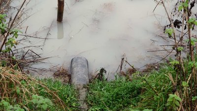 На Хмельниччині проти молокозаводу порушили кримінальне провадження за забруднення річки