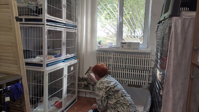 Жінка і лелека Жінка і лелека