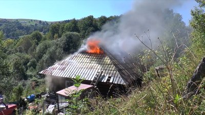 У передгір’ї Карпат зрубано 50 % лісу У передгір’ї Карпат зрубано 50 % лісу