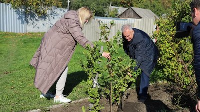 У Знам'янці висадили алею калини на підтримку захисників