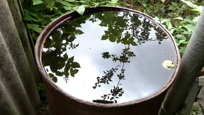 "Куди їдемо, там і набираємо": яка ситуація з водою біля Халявина на Чернігівщині