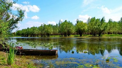 На Одещині рятувальники витягли із озера трьох підлітків: вони застрягли в болоті