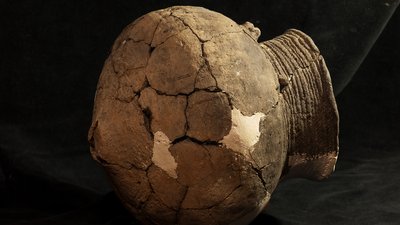 Знахідки року Знахідки року