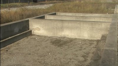 У Запоріжжі безпритульні собаки травмували сімох людей
