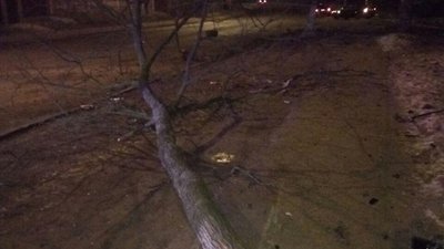 У Чернігові нетверезий водій збив дерево, електроопору та в’їхав у сходи 13-ої школи У Чернігові нетверезий водій збив дерево, електроопору та в’їхав у сходи 13-ої школи