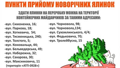 В Івано-Франківську визначили місця для ялинок В Івано-Франківську визначили місця для ялинок