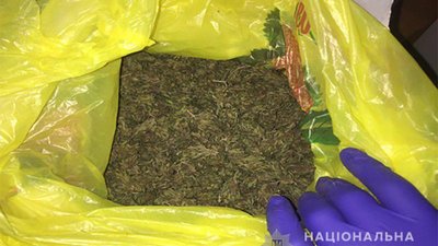 У Запоріжжі поліцейські затримали підозрювану у збуті марихуани