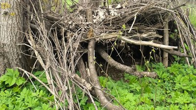 "Ще нічого не забулося": як на Конотопщині живе родина, яка рік тому ховалася в халабуді від обстрілів "Ще нічого не забулося": як на Конотопщині живе родина, яка рік тому ховалася в халабуді від обстрілів