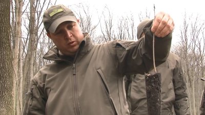 Через повномасштабну війну черкащани купують менше декоративних дерев Через повномасштабну війну черкащани купують менше декоративних дерев