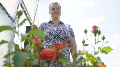 "Сподіваємось на врожай": історія підприємства з Харківщини, яке вирощує ягоди на території, де не було бойових дій "Сподіваємось на врожай": історія підприємства з Харківщини, яке вирощує ягоди на території, де не було бойових дій