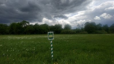 На Закарпатті почала цвісти Долина нарцисів На Закарпатті почала цвісти Долина нарцисів