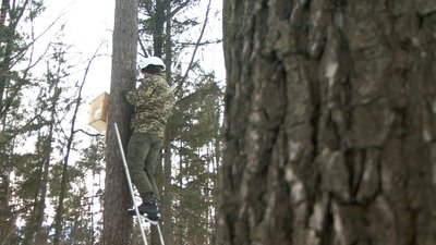 Годівниці Годівниці