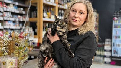Як у Шостці та Глухові колективи місцевих закладів прихистили котів