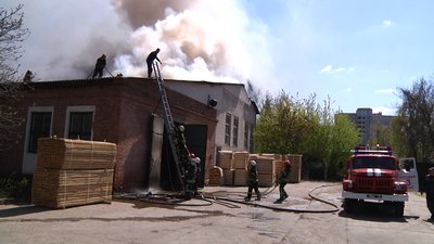 Пожежу на деревообробному підприємстві у Житомирі гасили більше трьох годин